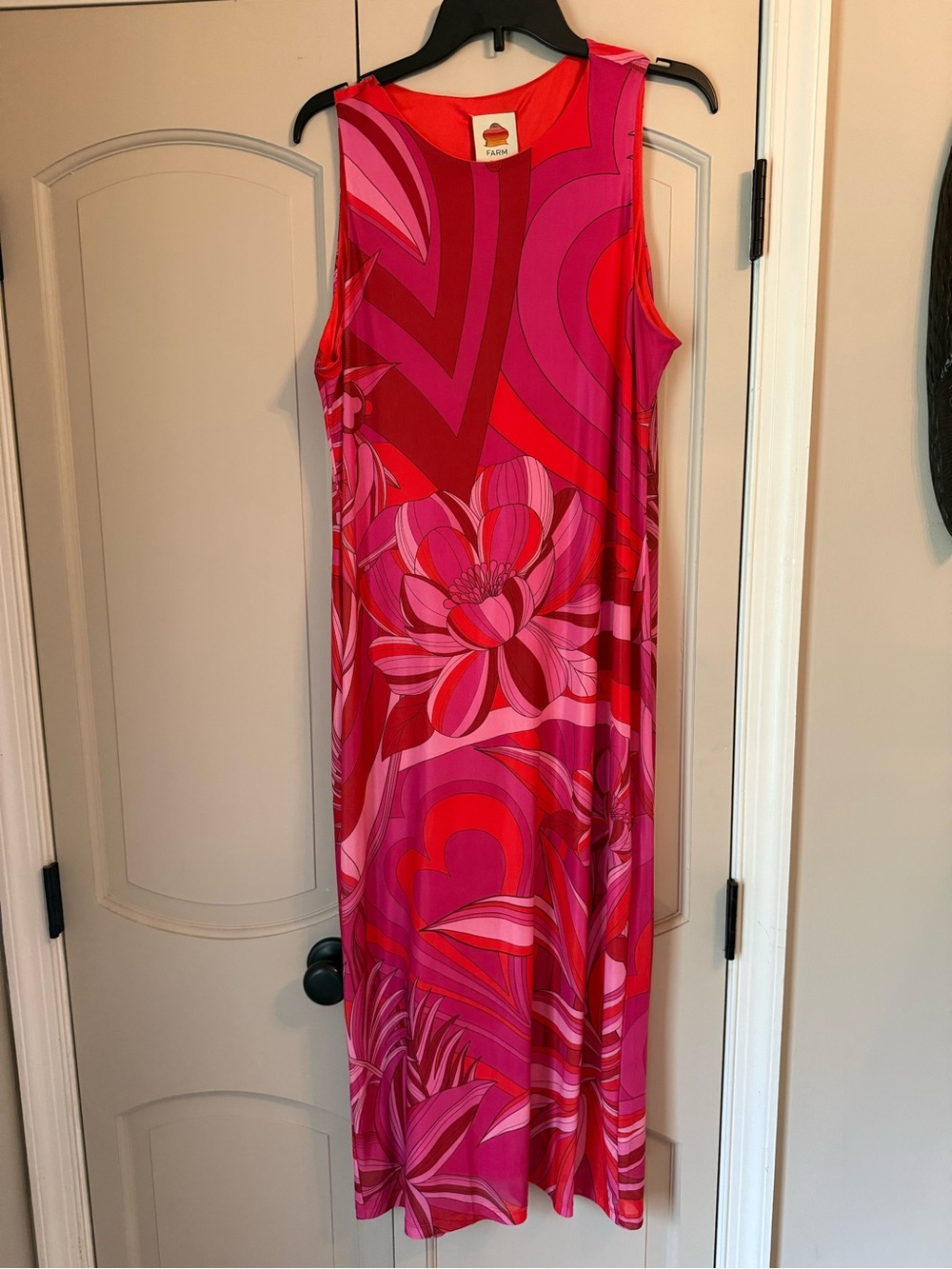 FARM Rio Pink and Red Floral Maxi Dress